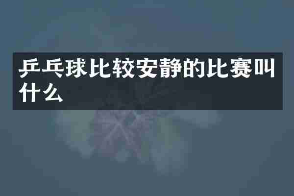 乒乓球比较安静的比赛叫什么