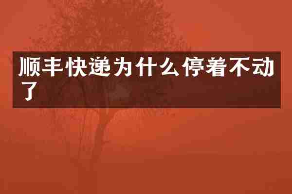 顺丰快递为什么停着不动了