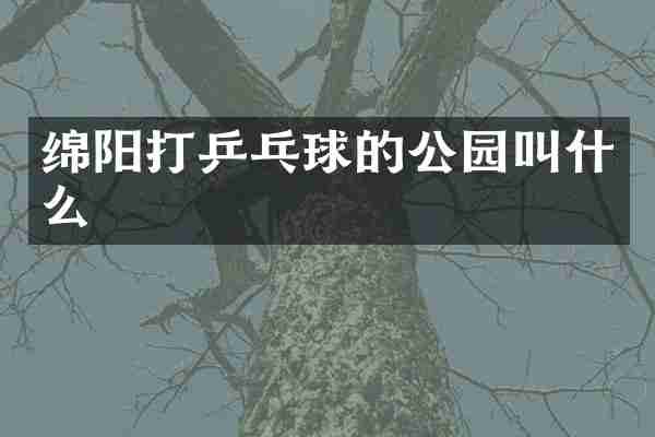 绵阳打乒乓球的公园叫什么