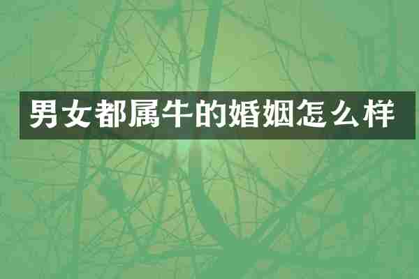 男女都属牛的婚姻怎么样
