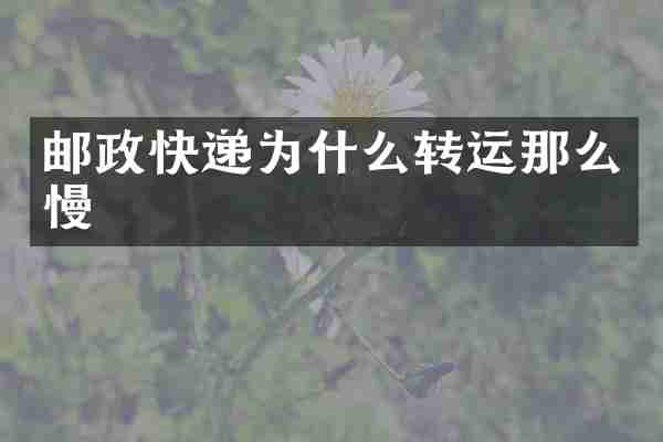 邮政快递为什么转运那么慢