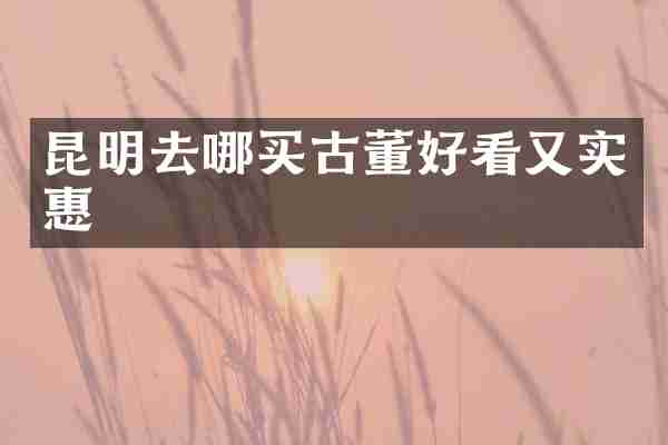 昆明去哪买古董好看又实惠