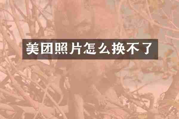 美团照片怎么换不了