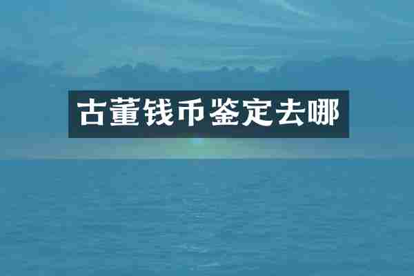 古董钱币鉴定去哪