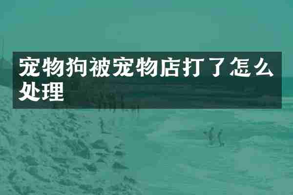 宠物狗被宠物店打了怎么处理