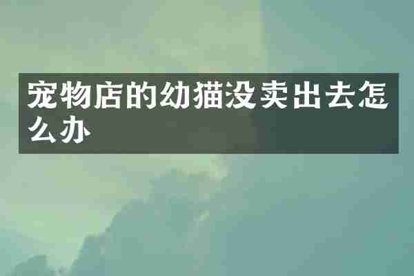 宠物店的幼猫没卖出去怎么办