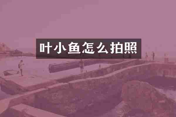 叶小鱼怎么拍照