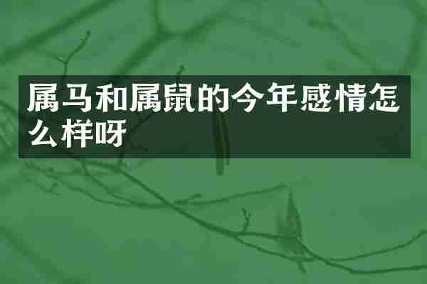 属马和属鼠的今年感情怎么样呀