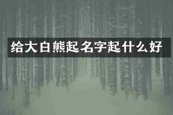 给大白熊起名字起什么好
