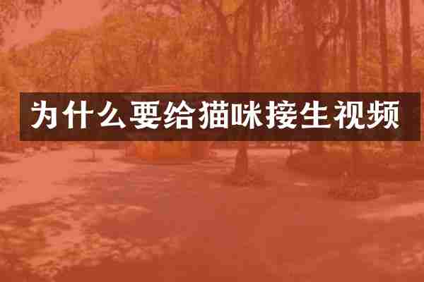 为什么要给猫咪接生视频