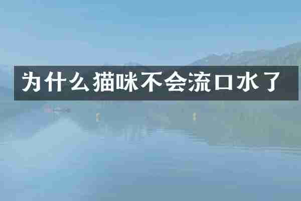 为什么猫咪不会流口水了