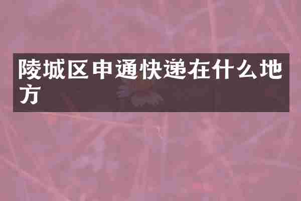 陵城区申通快递在什么地方