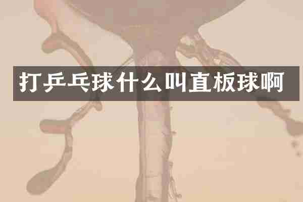 打乒乓球什么叫直板球啊