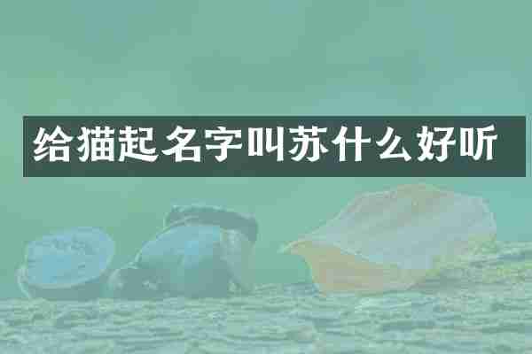 给猫起名字叫苏什么好听