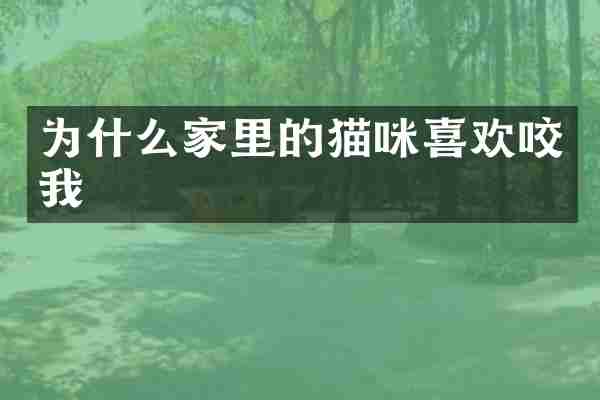 为什么家里的猫咪喜欢咬我