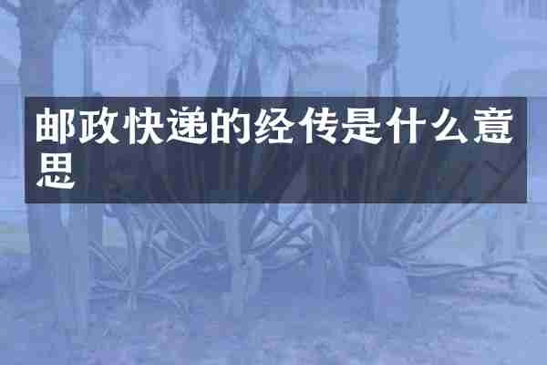 邮政快递的经传是什么意思