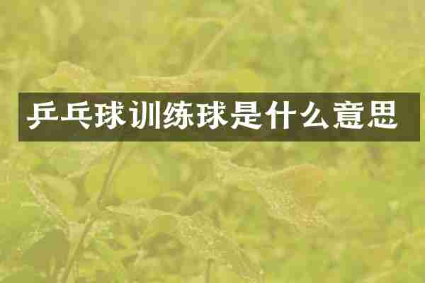 乒乓球训练球是什么意思