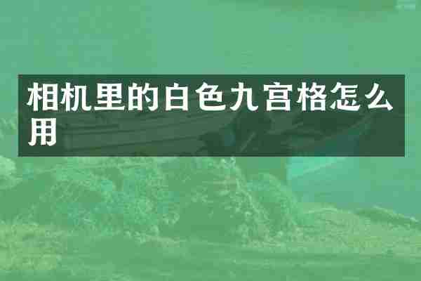 相机里的白色九宫格怎么用