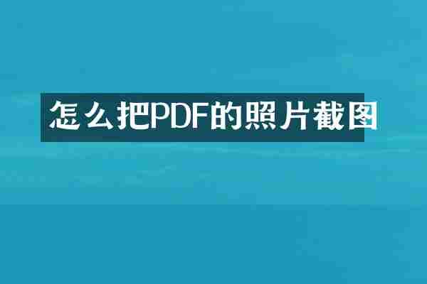 怎么把PDF的照片截图