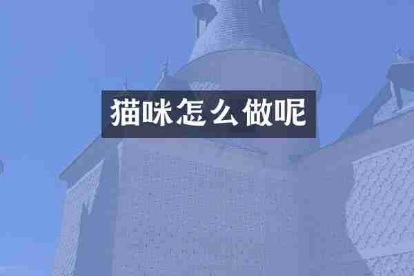 猫咪怎么做呢