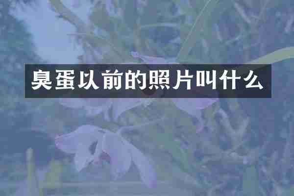 臭蛋以前的照片叫什么