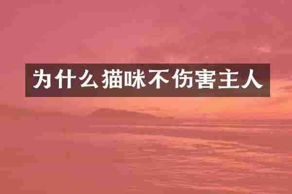 为什么猫咪不伤害主人