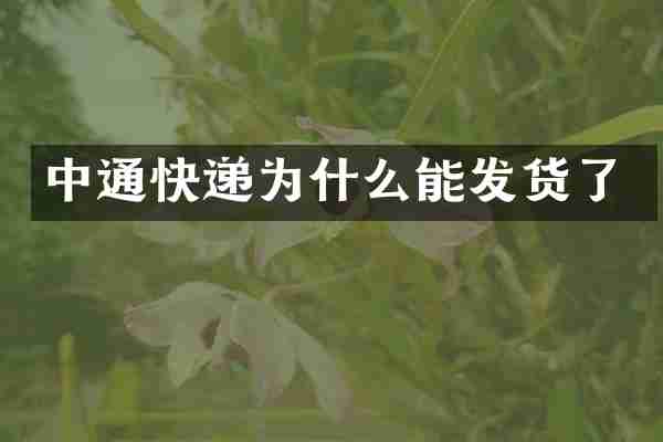 中通快递为什么能发货了