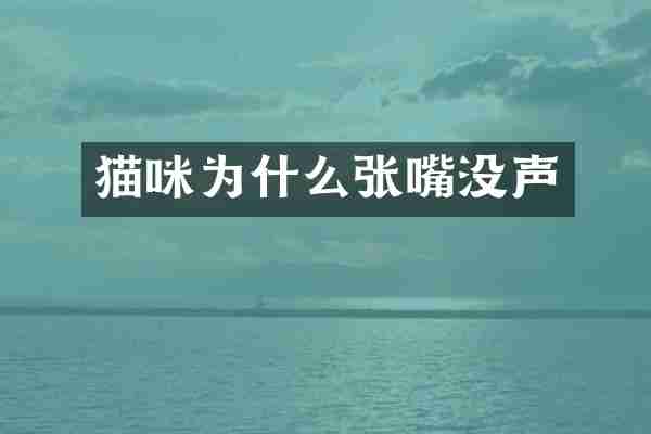 猫咪为什么张嘴没声