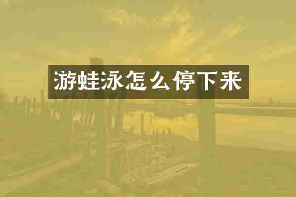 游蛙泳怎么停下来