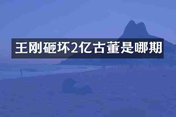 王刚砸坏2亿古董是哪期