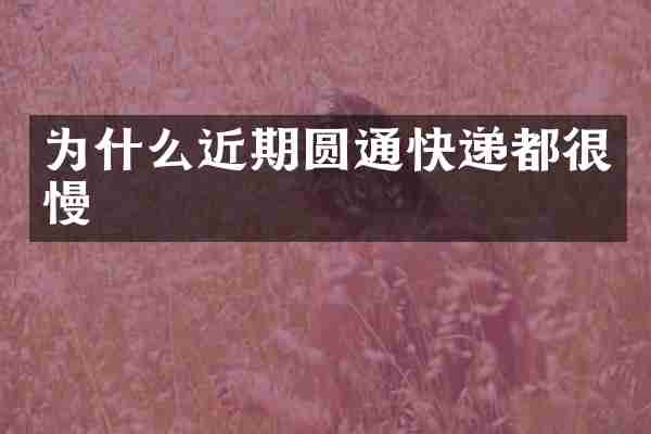 为什么近期圆通快递都很慢