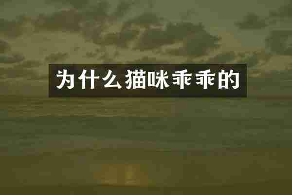 为什么猫咪乖乖的