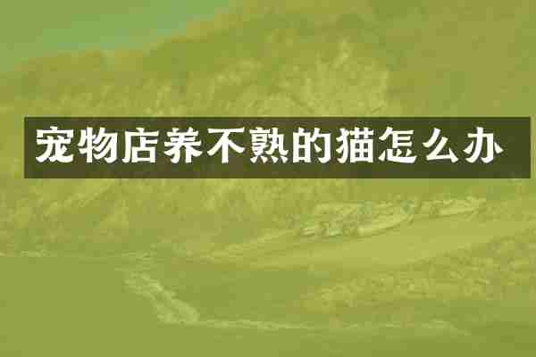 宠物店养不熟的猫怎么办
