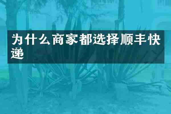 为什么商家都选择顺丰快递