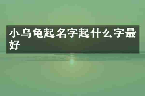 小乌龟起名字起什么字最好