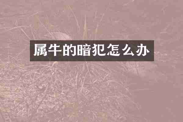 属牛的暗犯怎么办