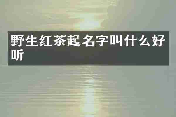 野生红茶起名字叫什么好听
