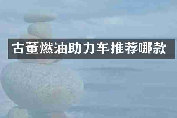 古董燃油助力车推荐哪款