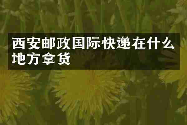 西安邮政国际快递在什么地方拿货