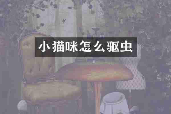 小猫咪怎么驱虫