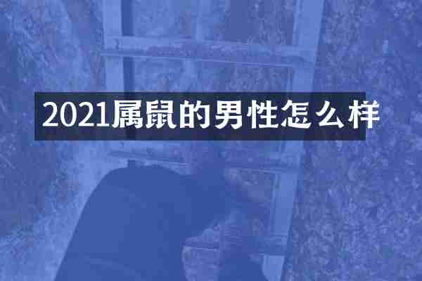 2021属鼠的男性怎么样