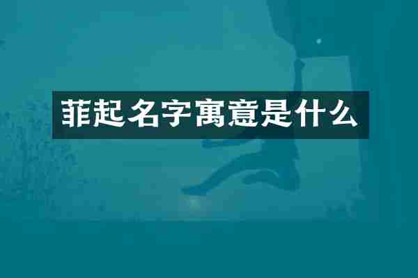 菲起名字寓意是什么