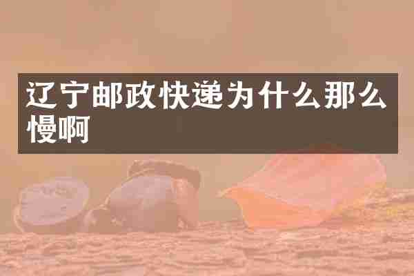 辽宁邮政快递为什么那么慢啊
