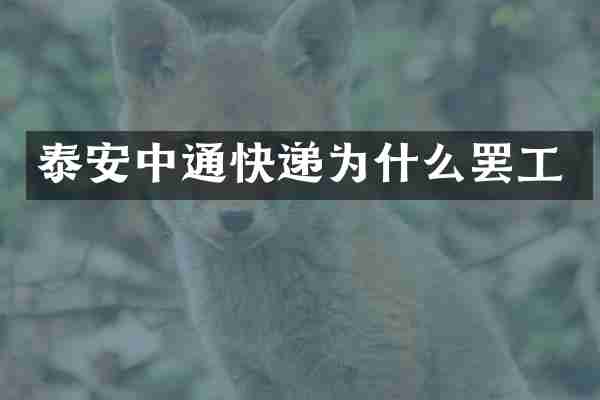 泰安中通快递为什么罢工