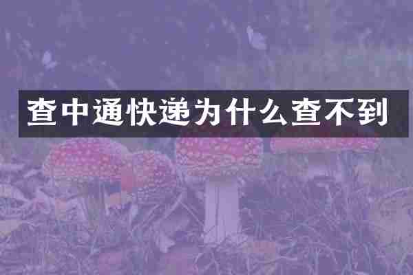 查中通快递为什么查不到