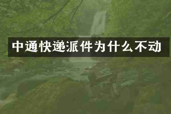 中通快递派件为什么不动