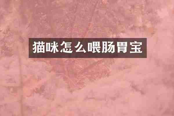 猫咪怎么喂肠胃宝