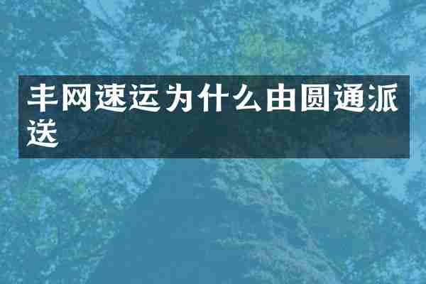 丰网速运为什么由圆通派送