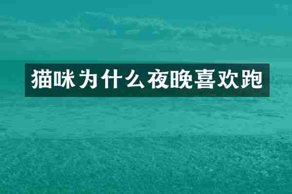 猫咪为什么夜晚喜欢跑