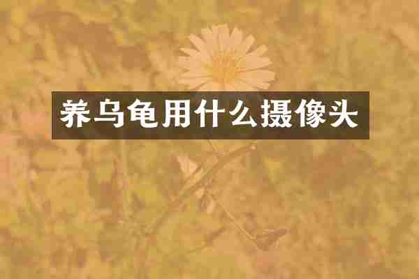 养乌龟用什么摄像头